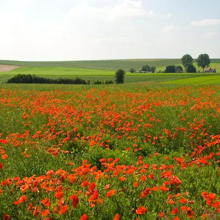 Alojamento de Acomodação e Pequeno-almoço The Silent Picket Martinpuich