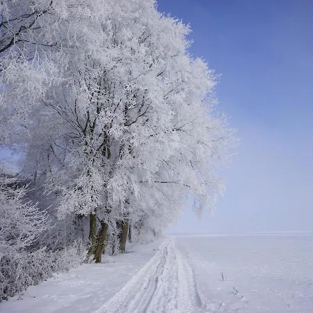 Alojamento de Acomodação e Pequeno-almoço The Silent Picket 4*